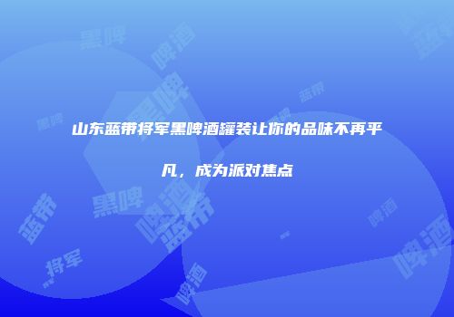 山东蓝带将军黑啤酒罐装让你的品味不再平凡，成为派对焦点