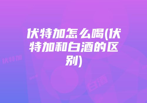 伏特加怎么喝(伏特加和白酒的区别)