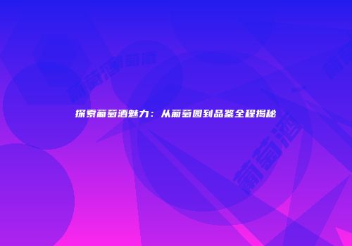 探索葡萄酒魅力：从葡萄园到品鉴全程揭秘