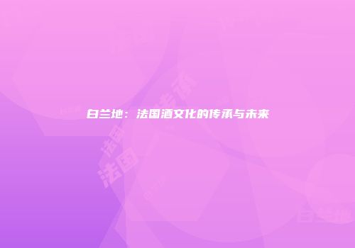 白兰地：法国酒文化的传承与未来