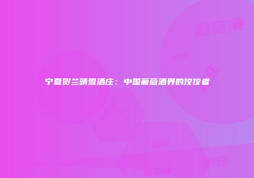 宁夏贺兰晴雪酒庄：中国葡萄酒界的佼佼者