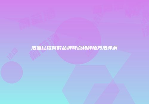 法国红樱桃的品种特点和种植方法详解