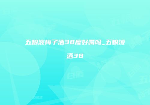 五粮液梅子酒38度好喝吗_五粮液酒38