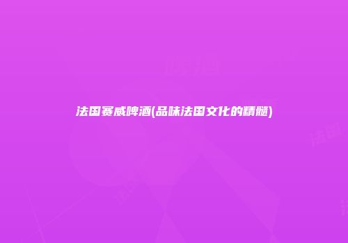 法国赛威啤酒(品味法国文化的精髓)