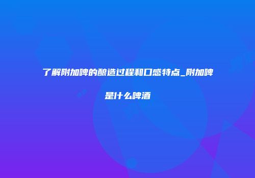 了解附加啤的酿造过程和口感特点_附加啤是什么啤酒