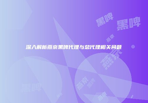 深入解析燕京黑啤代理与总代理相关问题