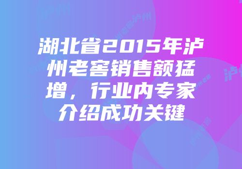湖北省2015年泸州老窖销售额猛增，行业内专家介绍成功关键