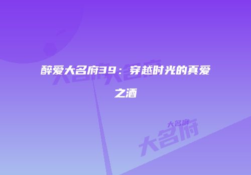 醉爱大名府39：穿越时光的真爱之酒