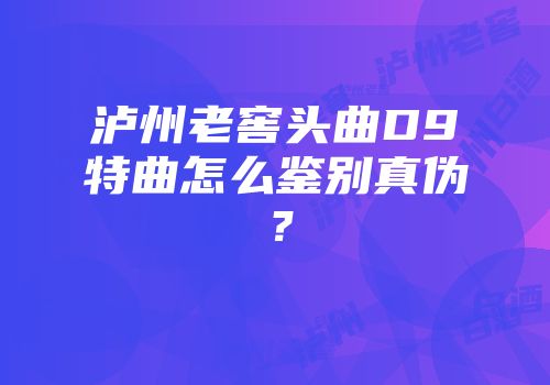 泸州老窖头曲D9特曲怎么鉴别真伪？