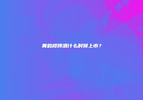 黄鹤楼啤酒什么时候上市？