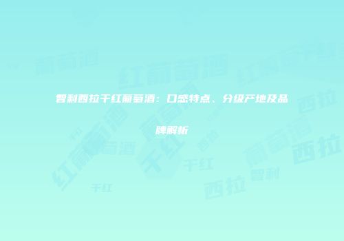 智利西拉干红葡萄酒：口感特点、分级产地及品牌解析