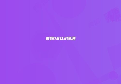 青啤1903啤酒