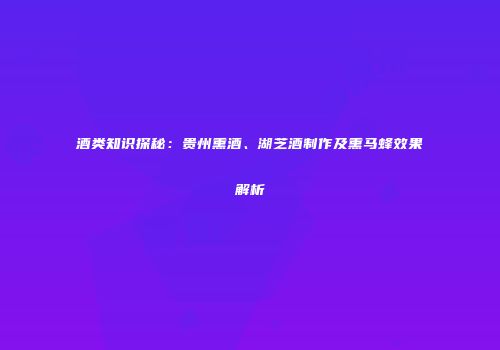 酒类知识探秘：贵州熏酒、湖芝酒制作及熏马蜂效果解析