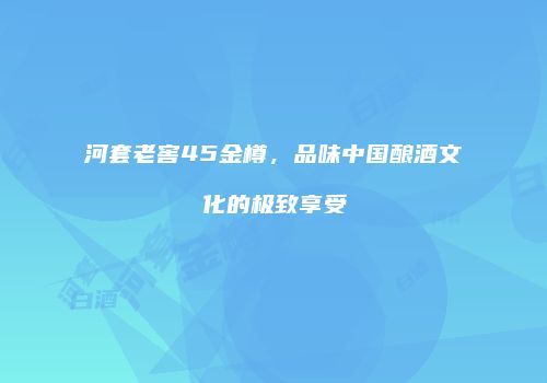 河套老窖45金樽，品味中国酿酒文化的极致享受