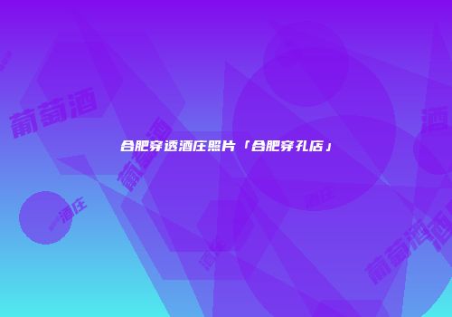 合肥穿透酒庄照片「合肥穿孔店」