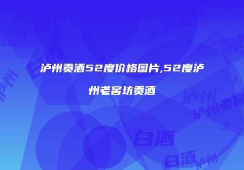 泸州贡酒52度价格图片,52度泸州老窖坊贡酒