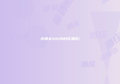小酒乡50(小村庄酒庄)