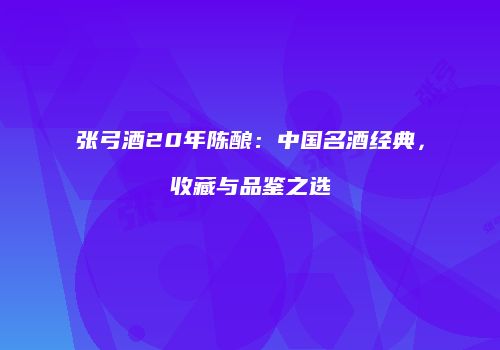张弓酒20年陈酿：中国名酒经典，收藏与品鉴之选