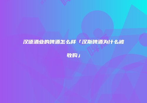 汉德酒业的啤酒怎么样「汉斯啤酒为什么被收购」