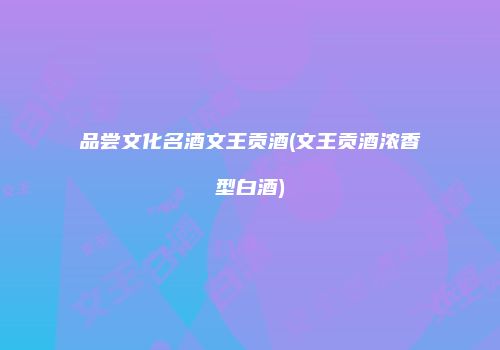 品尝文化名酒文王贡酒(文王贡酒浓香型白酒)