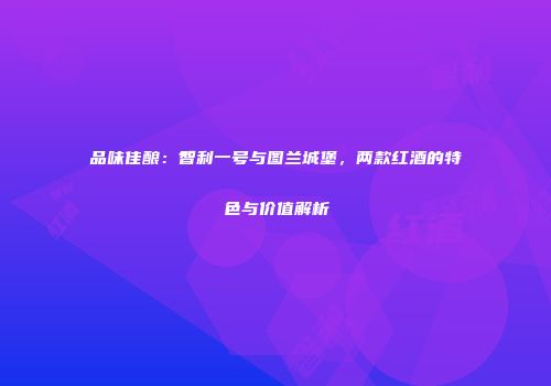 品味佳酿：智利一号与图兰城堡，两款红酒的特色与价值解析