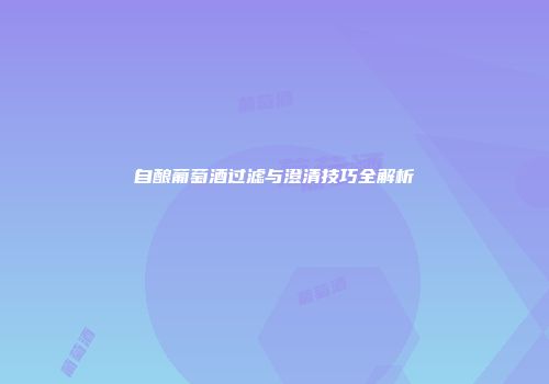 自酿葡萄酒过滤与澄清技巧全解析