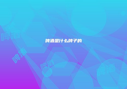 啤酒是什么牌子的