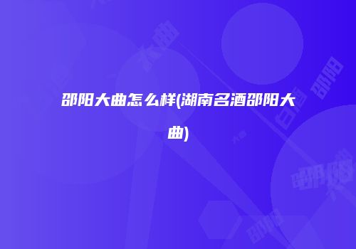 邵阳大曲怎么样(湖南名酒邵阳大曲)
