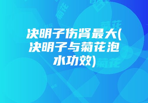 决明子伤肾最大(决明子与菊花泡水功效)