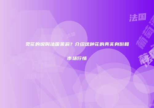 卖花的说叫法国茉莉？介绍这种花的真实身份和市场行情