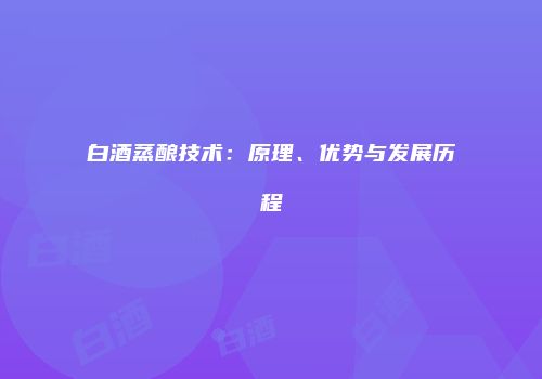 白酒蒸酿技术：原理、优势与发展历程