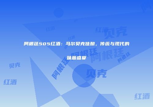 阿根廷505红酒：马尔贝克佳酿，传统与现代的味蕾盛宴