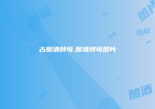 古酿酒酵母,酿酒酵母图片