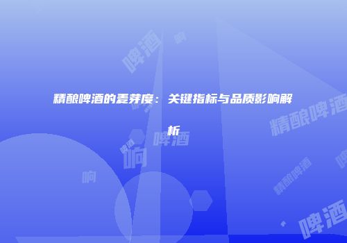 精酿啤酒的麦芽度：关键指标与品质影响解析