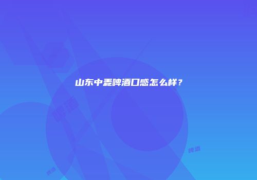 山东中麦啤酒口感怎么样？