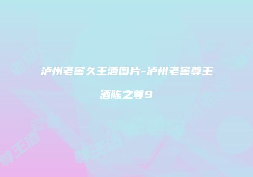 泸州老窖久王酒图片-泸州老窖尊王酒陈之尊9