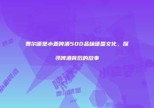 费尔德堡小麦啤酒500品味德国文化，探寻啤酒背后的故事