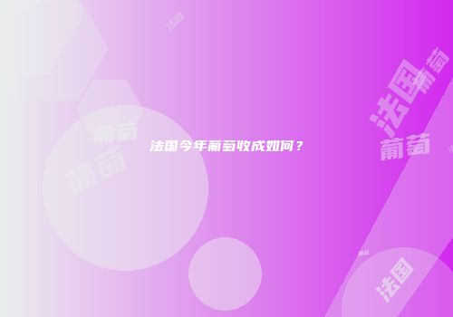 法国今年葡萄收成如何？