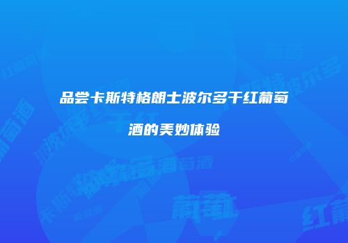 品尝卡斯特格朗士波尔多干红葡萄酒的美妙体验
