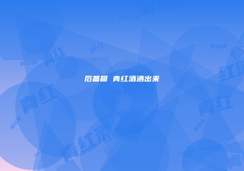 后备箱 青红酒洒出来