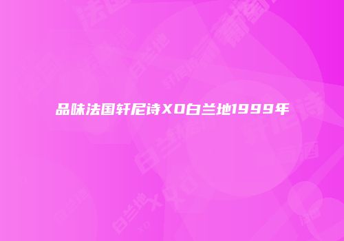 品味法国轩尼诗XO白兰地1999年