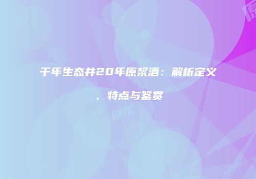 千年生态井20年原浆酒：解析定义、特点与鉴赏