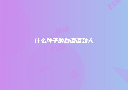 什么牌子的白酒酒劲大