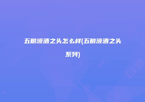 五粮液酒之头怎么样(五粮液酒之头系列)