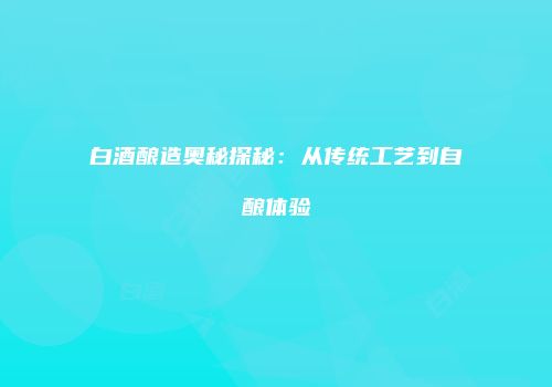 白酒酿造奥秘探秘：从传统工艺到自酿体验