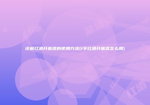 详解红酒开瓶器的使用方法(t字红酒开瓶器怎么用)