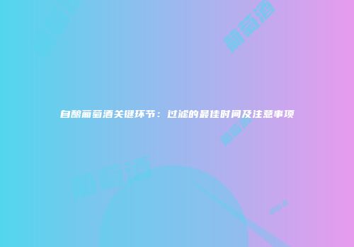 自酿葡萄酒关键环节：过滤的最佳时间及注意事项