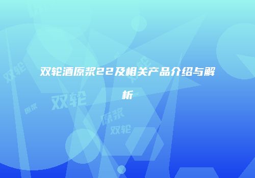 双轮酒原浆22及相关产品介绍与解析
