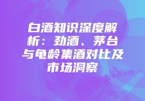白酒知识深度解析：劲酒、茅台与龟龄集酒对比及市场洞察