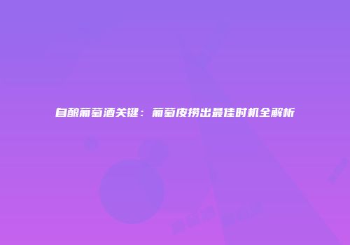 自酿葡萄酒关键：葡萄皮捞出最佳时机全解析